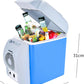 Portable Mini Fridge Cooler and Warmer (ثلاجة صغيرة محمولة للتبريد والتسخين)